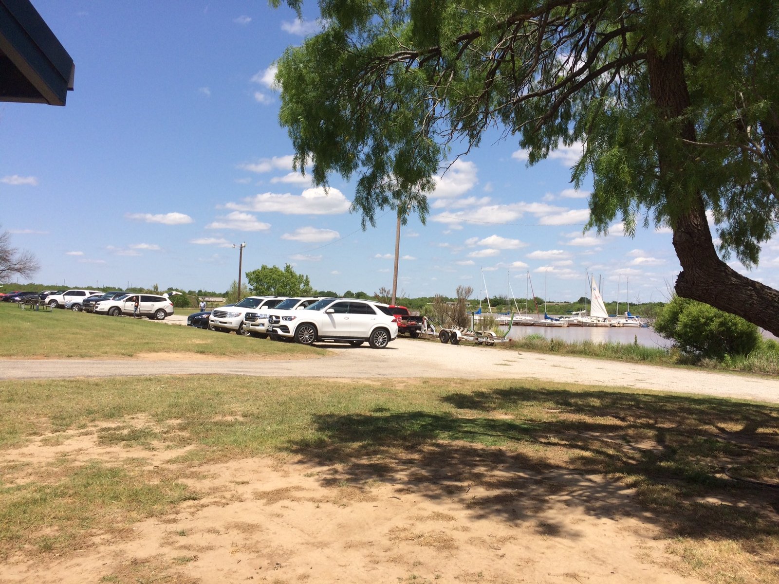 crowd cars