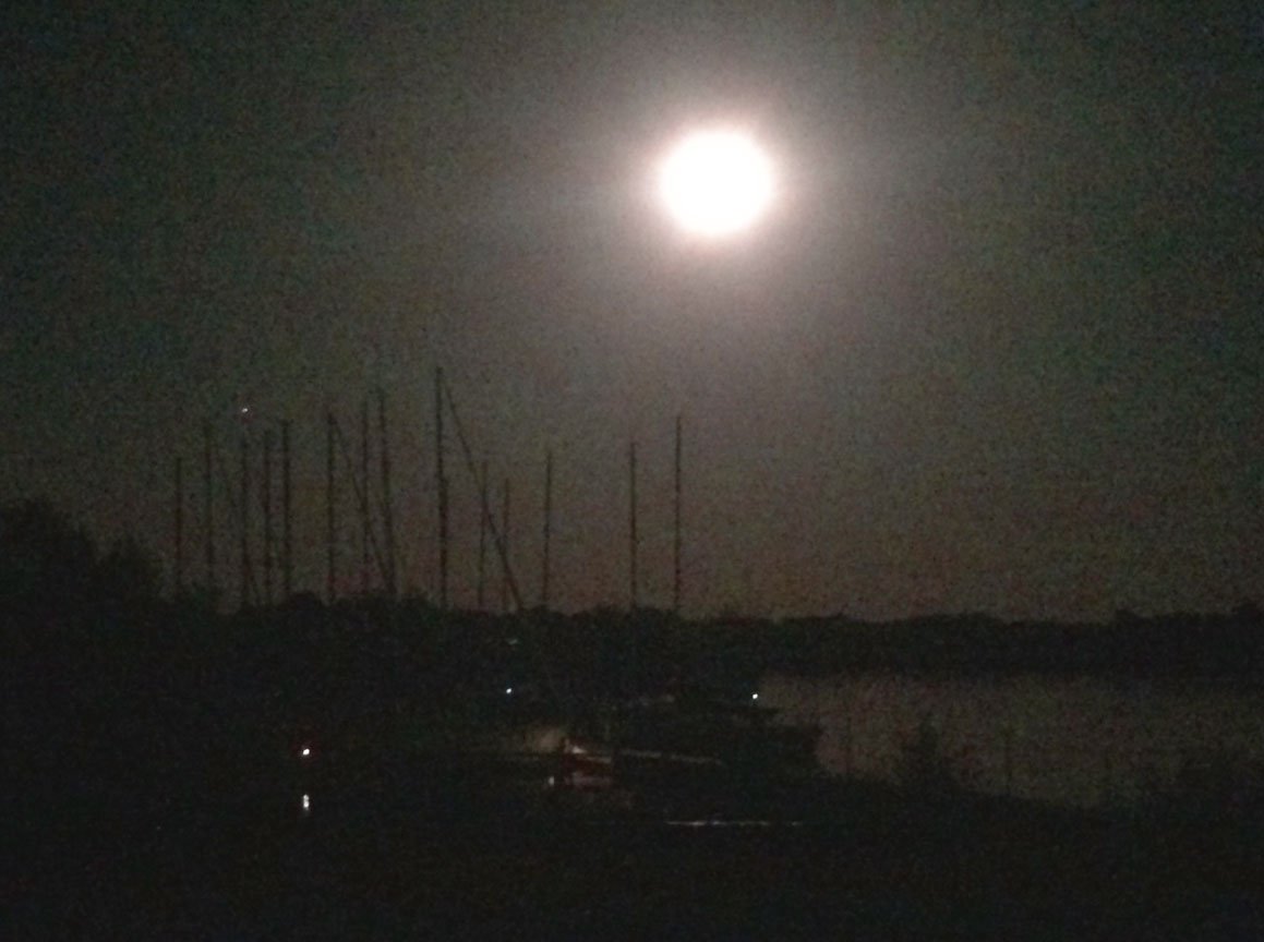 The Harvest Moon lights up the sky above Yacht Club Harbor